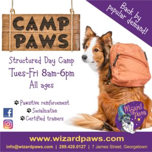 Camp Paws 2023